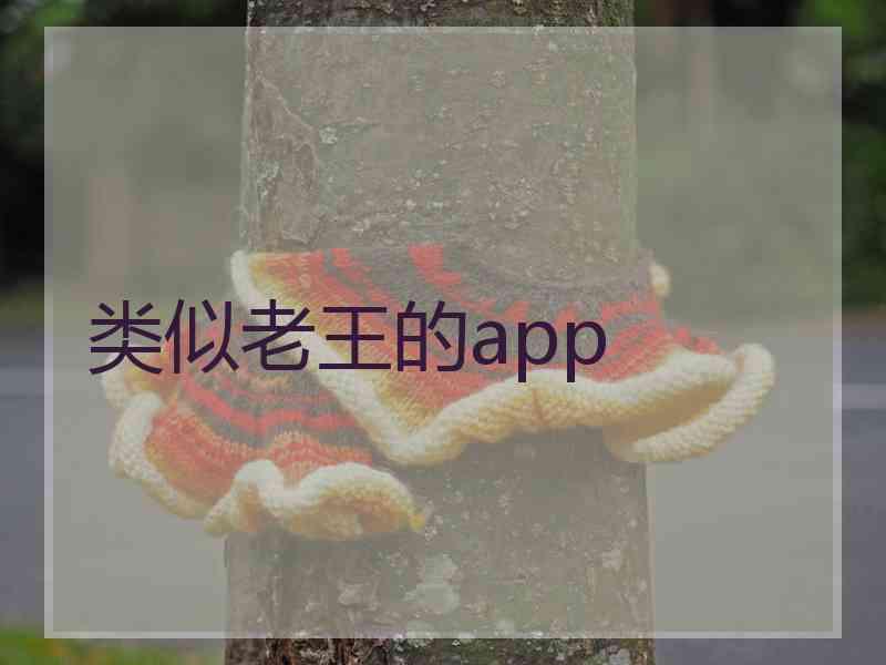 类似老王的app