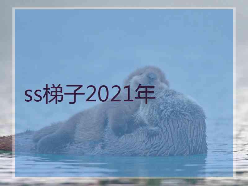 ss梯子2021年