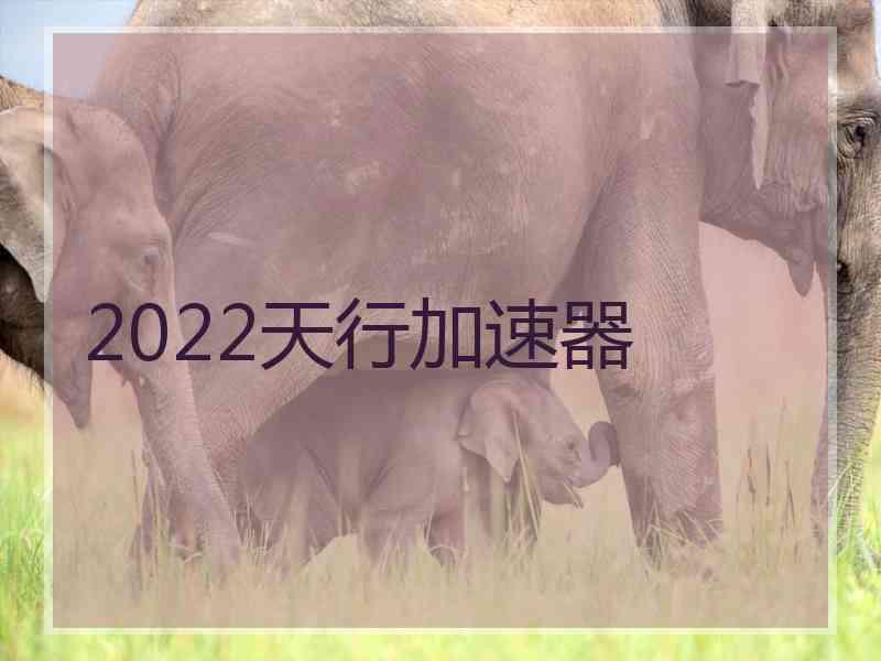 2022天行加速器