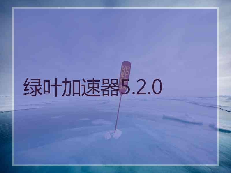 绿叶加速器5.2.0