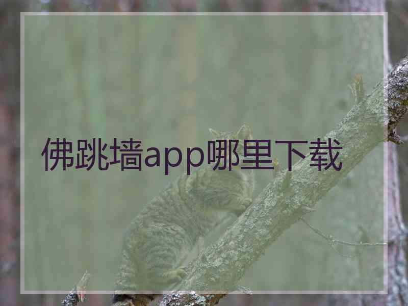 佛跳墙app哪里下载