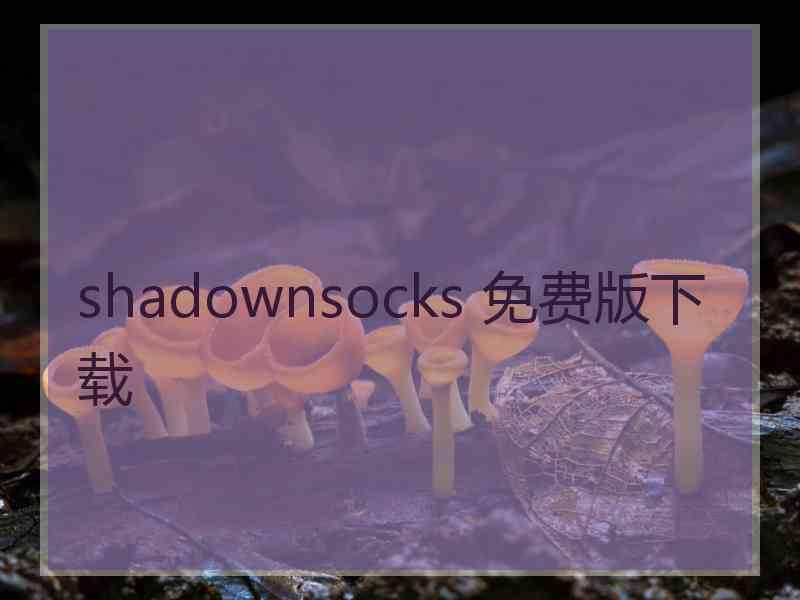 shadownsocks 免费版下载