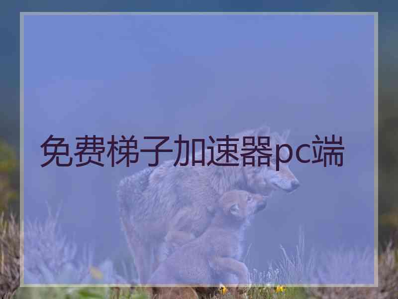 免费梯子加速器pc端