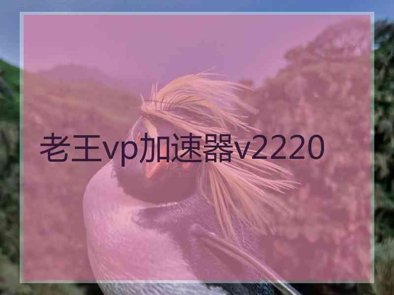 老王vp加速器v2220