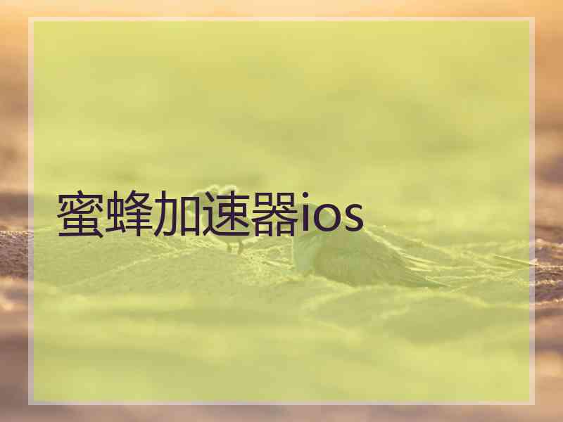 蜜蜂加速器ios