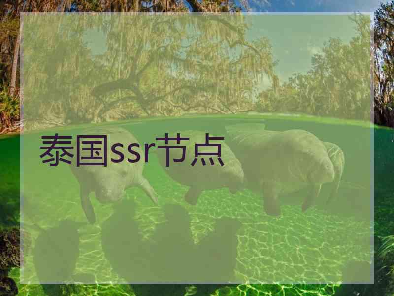 泰国ssr节点