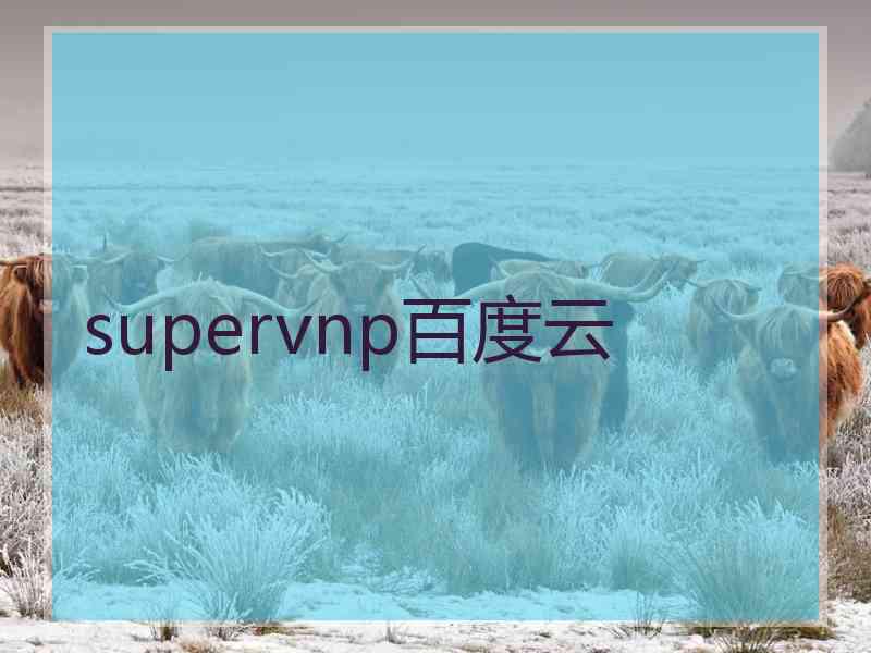 supervnp百度云