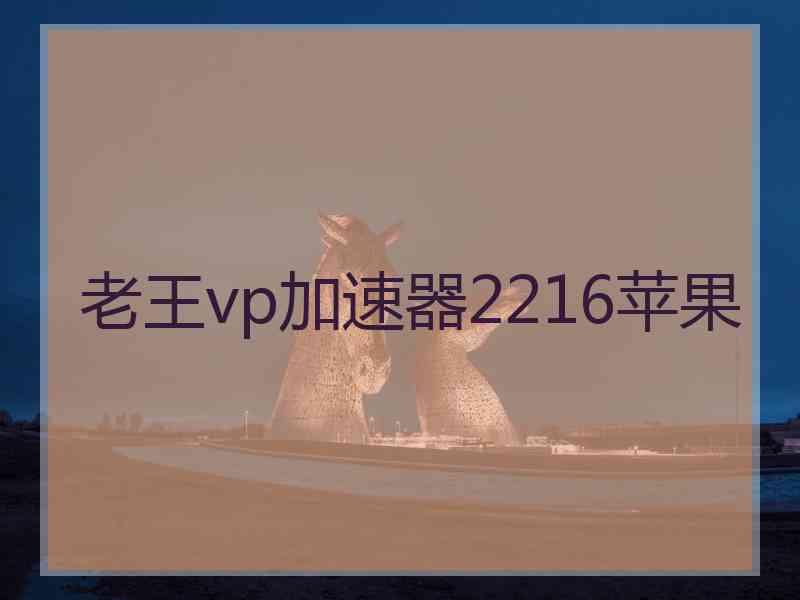 老王vp加速器2216苹果