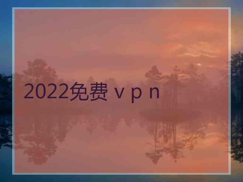 2022免费 v p n