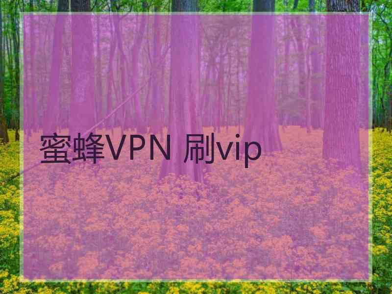 蜜蜂VPN 刷vip