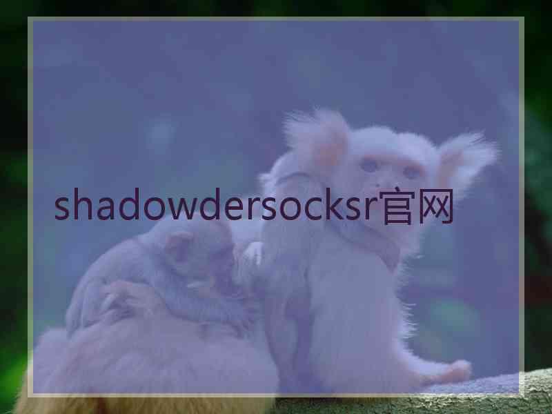 shadowdersocksr官网