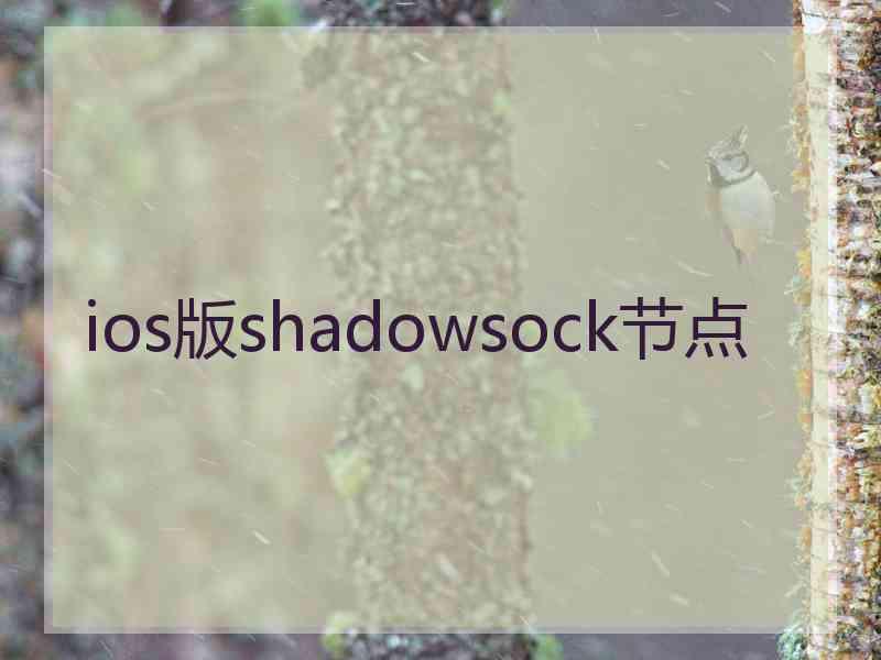 ios版shadowsock节点