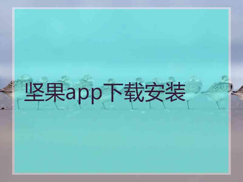 坚果app下载安装