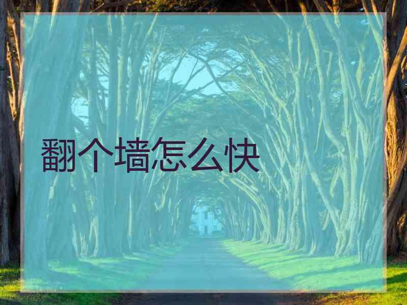 翻个墙怎么快