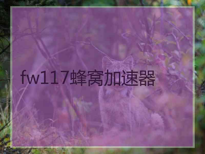 fw117蜂窝加速器