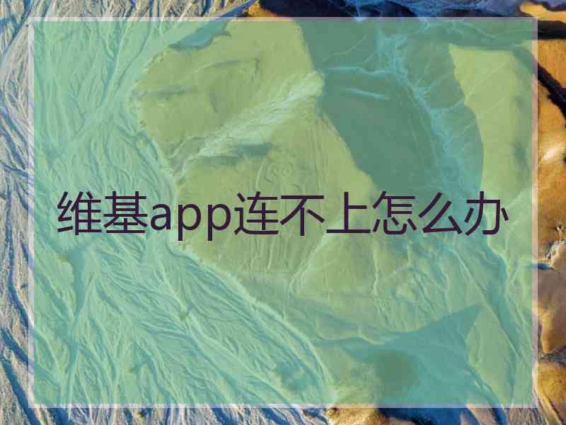 维基app连不上怎么办