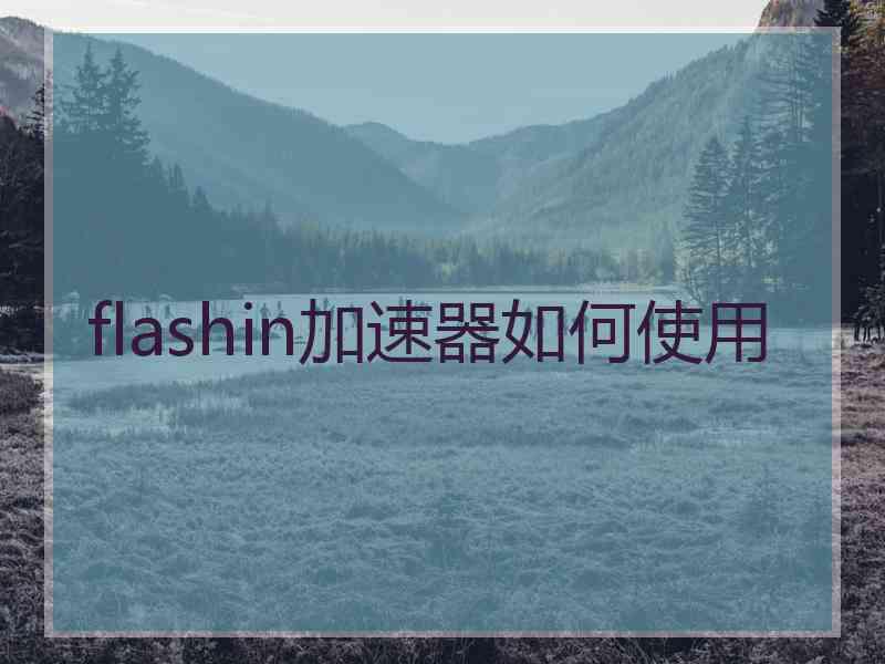 flashin加速器如何使用