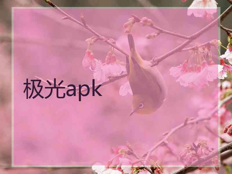 极光apk