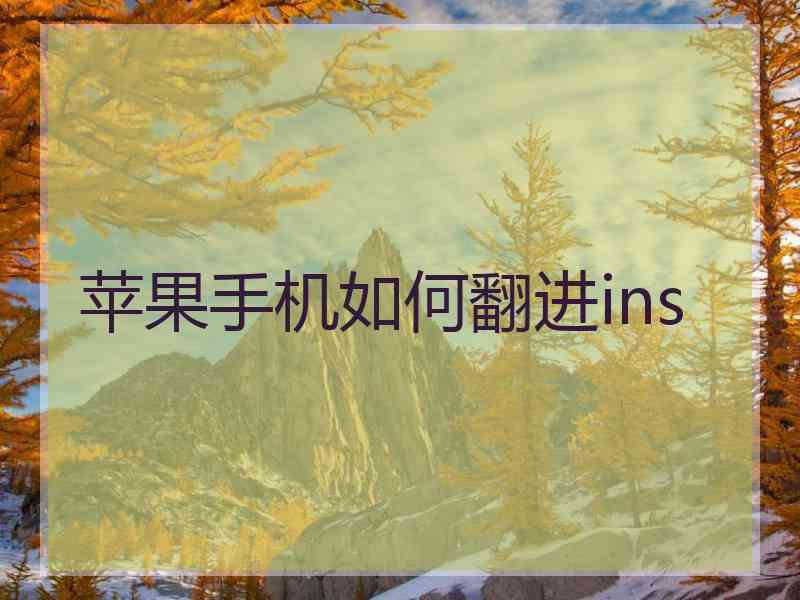 苹果手机如何翻进ins