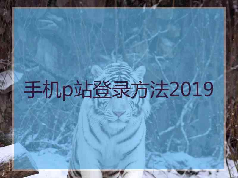 手机p站登录方法2019