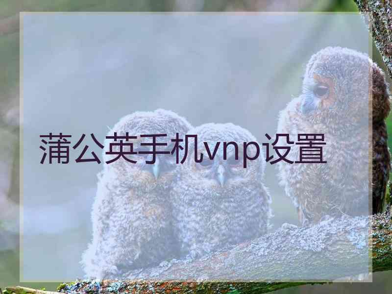 蒲公英手机vnp设置