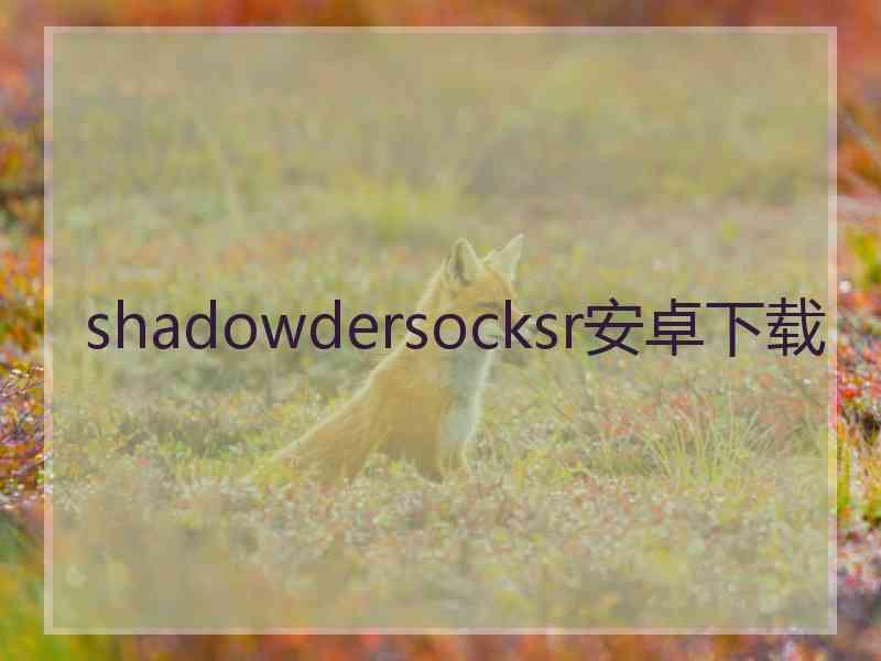 shadowdersocksr安卓下载