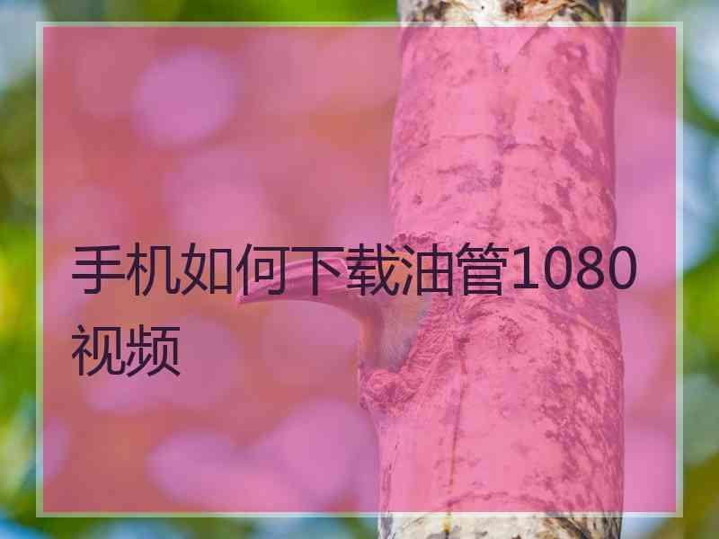 手机如何下载油管1080视频