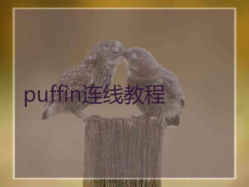 puffin连线教程