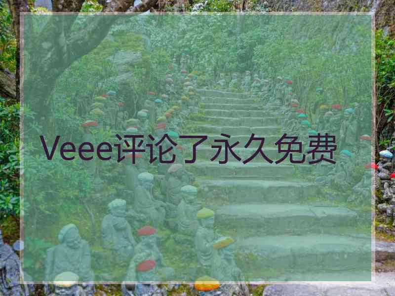 Veee评论了永久免费