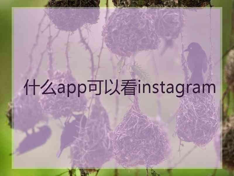 什么app可以看instagram