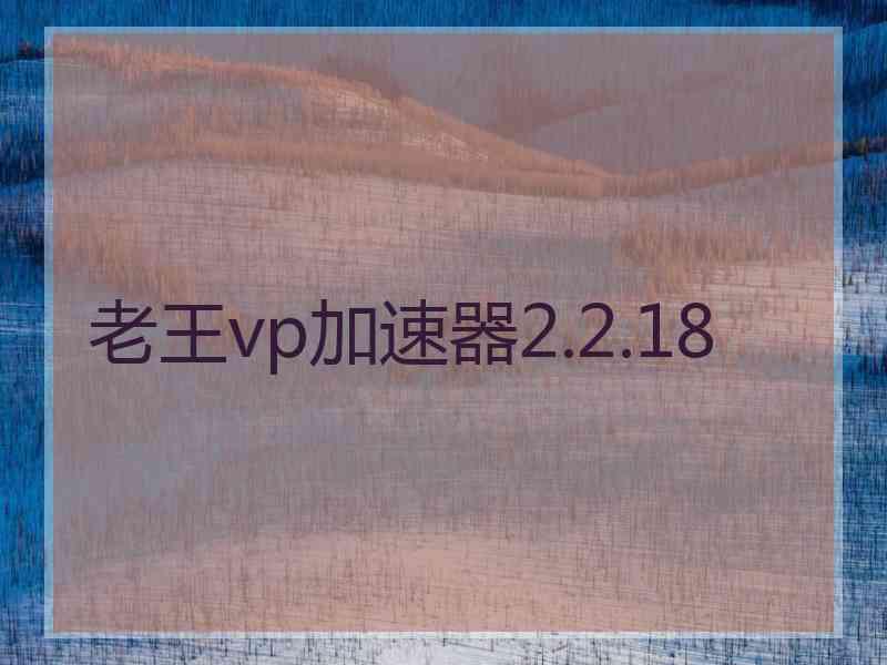 老王vp加速器2.2.18