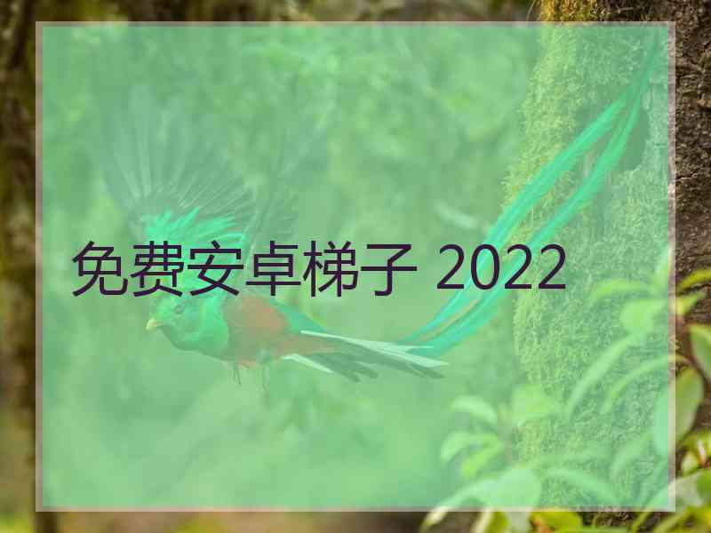 免费安卓梯子 2022