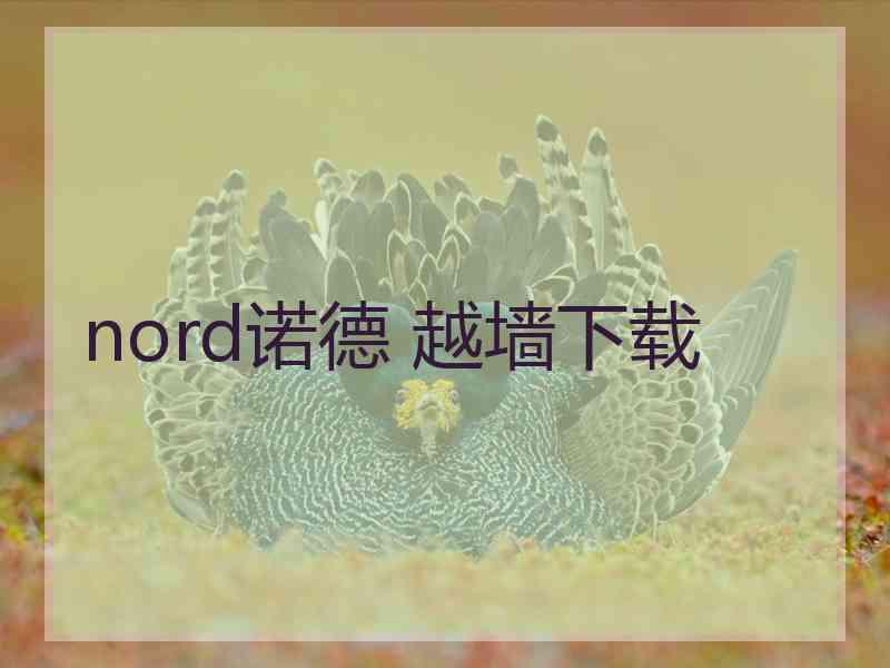 nord诺德 越墙下载