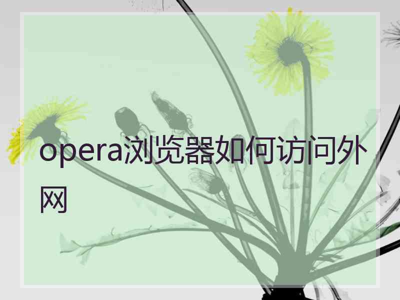 opera浏览器如何访问外网