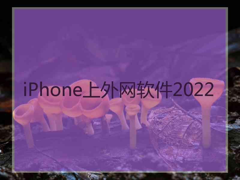 iPhone上外网软件2022