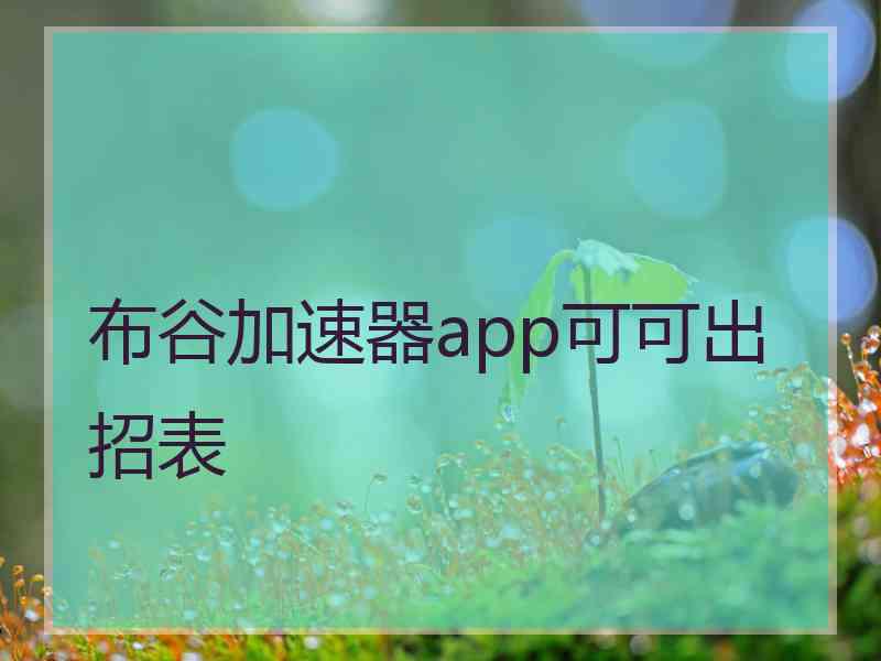 布谷加速器app可可出招表