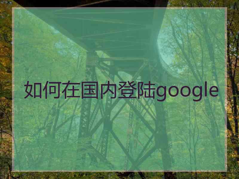 如何在国内登陆google