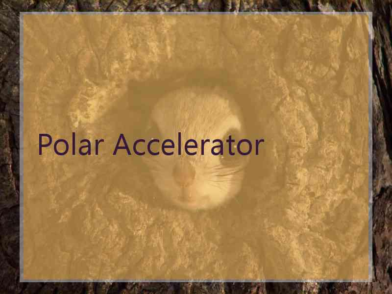 Polar Accelerator