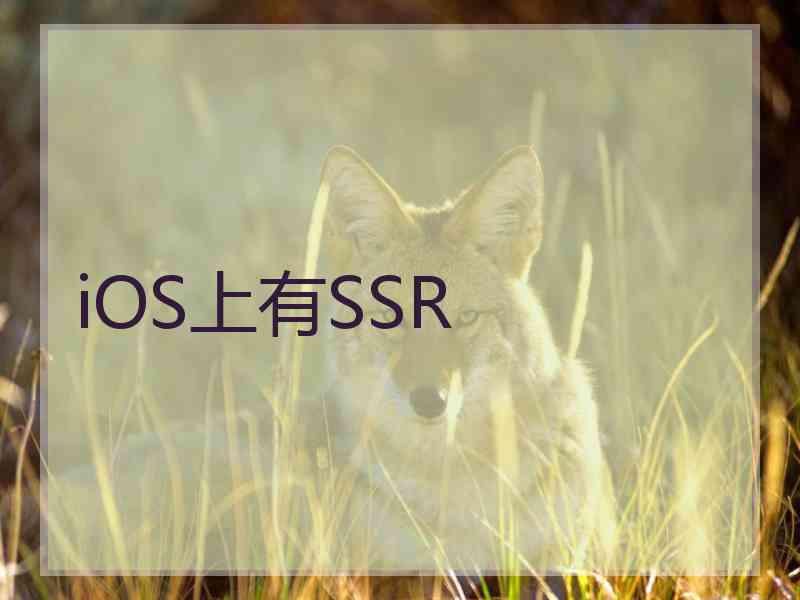 iOS上有SSR