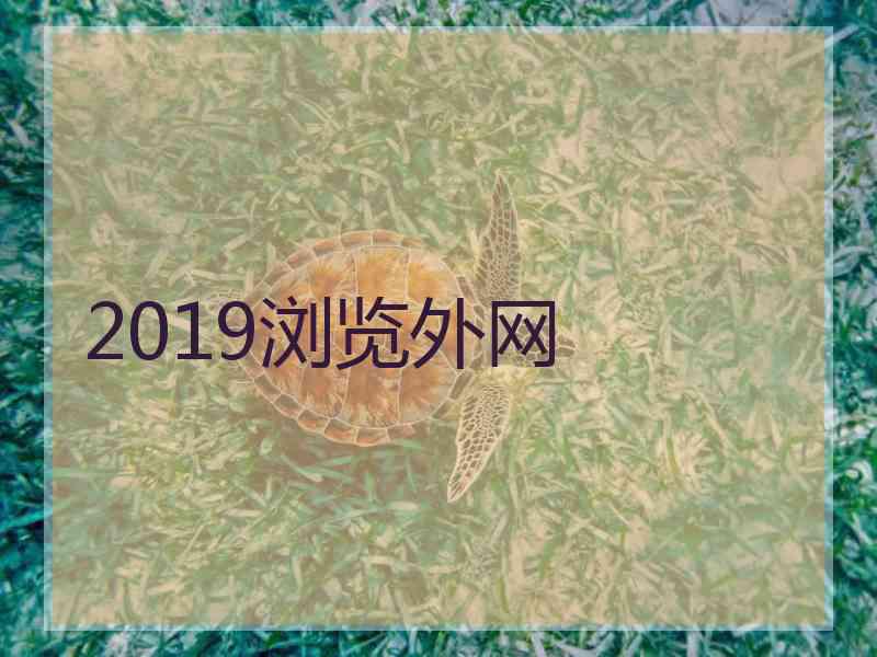 2019浏览外网