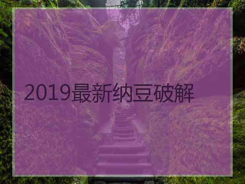 2019最新纳豆破解