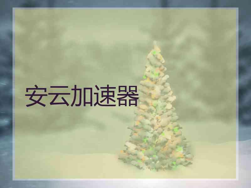 安云加速器