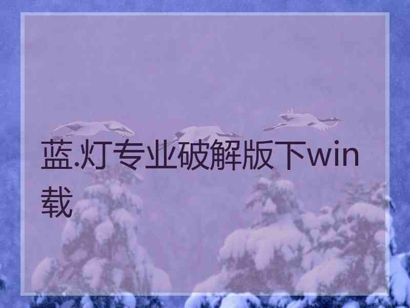 蓝.灯专业破解版下win载