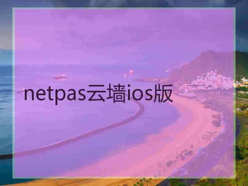 netpas云墙ios版