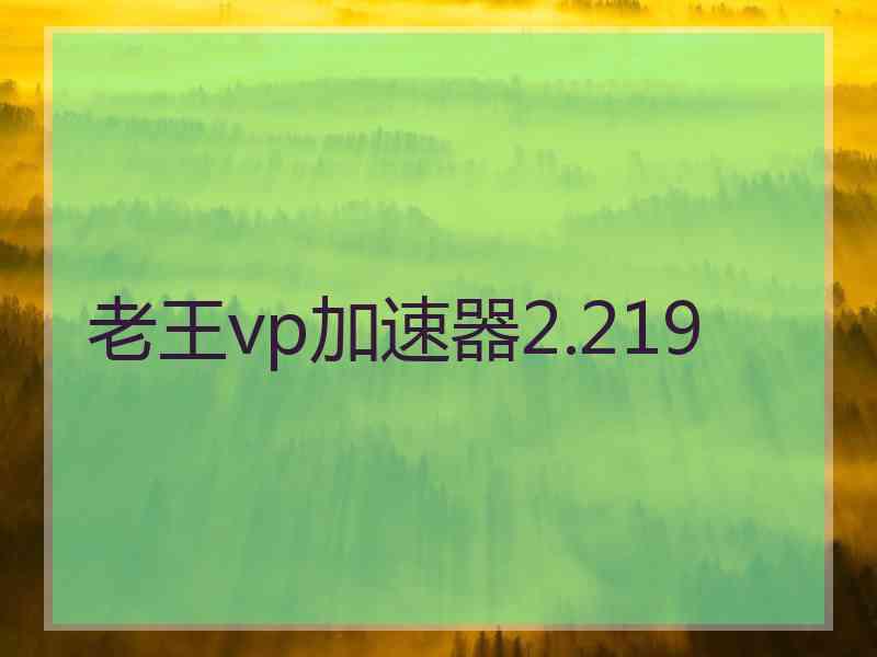 老王vp加速器2.219