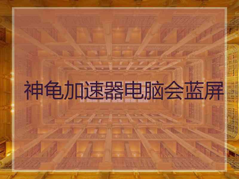 神龟加速器电脑会蓝屏