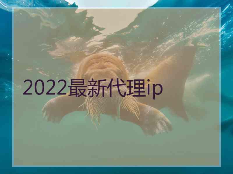 2022最新代理ip