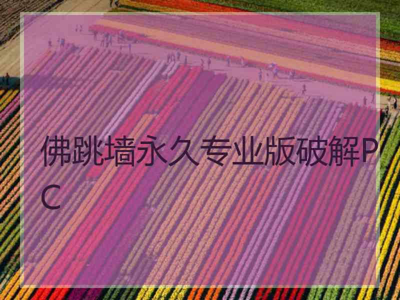 佛跳墙永久专业版破解PC