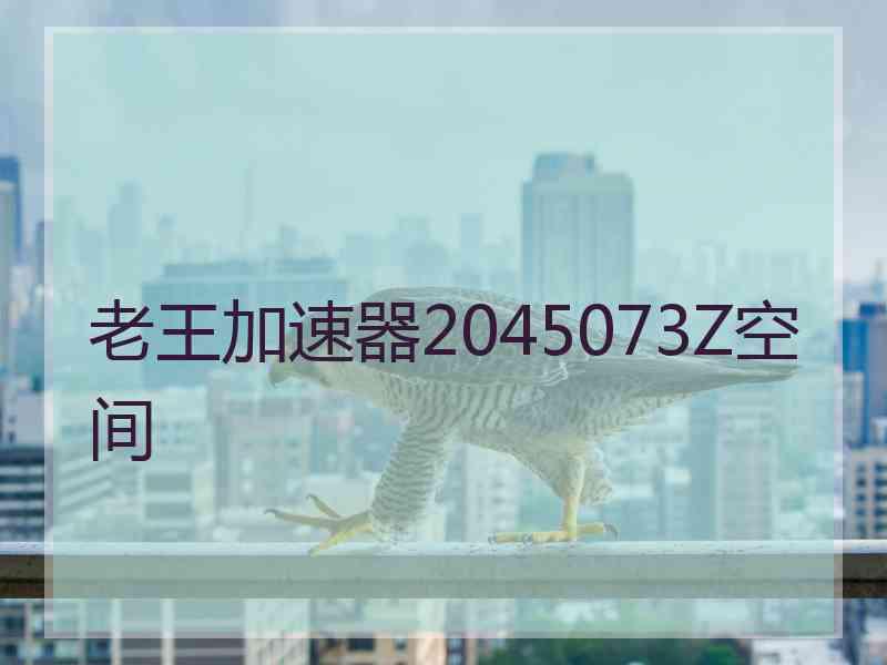 老王加速器2045073Z空间