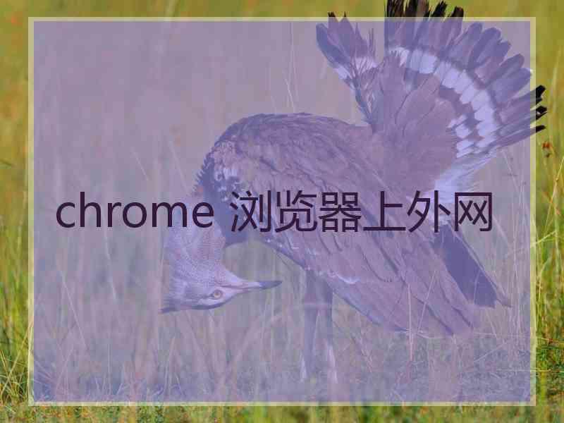 chrome 浏览器上外网